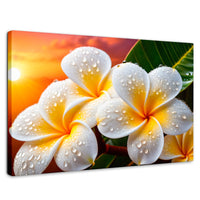 Cuadros Decorativos Canvas Revolution | Plumeria Luz Serena | Rectangular | Portada | Marco SinMarco