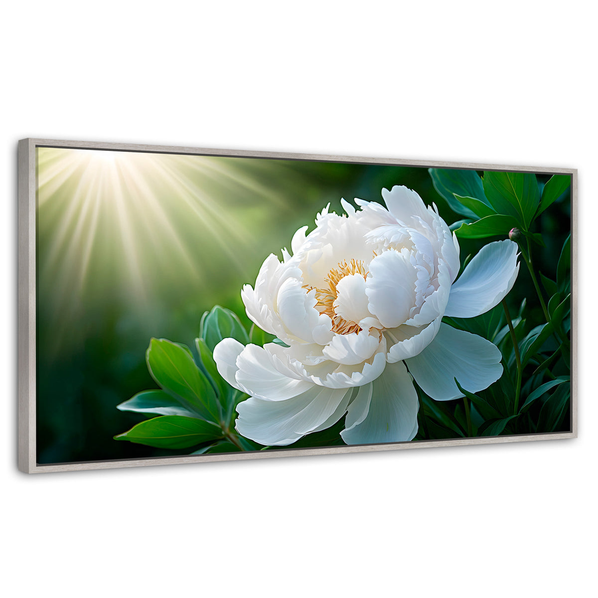 Cuadros Decorativos Canvas Revolution | Rayos De Peonia | Panoramico | Portada | Marco Plateado