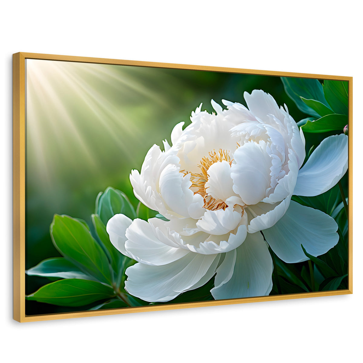 Cuadros Decorativos Canvas Revolution | Rayos De Peonia | Rectangular | Portada | Marco Dorado