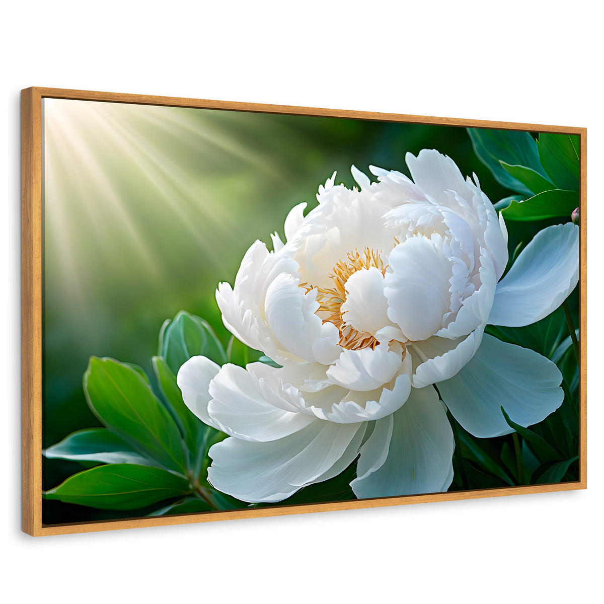 Cuadros Decorativos Canvas Revolution | Rayos De Peonia | Rectangular | Portada | Marco Madera