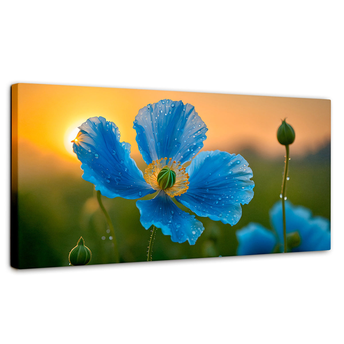 Cuadros Decorativos Canvas Revolution | Sueno De Amapolas | Panoramico | Portada