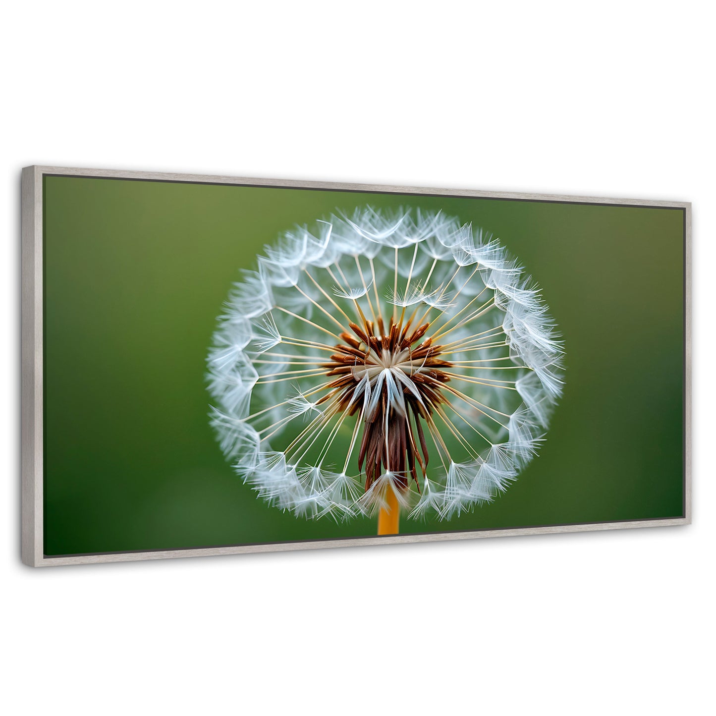 Cuadros Decorativos Canvas Revolution | Sueno En Vuelo | Panoramico | Portada | Marco Plateado
