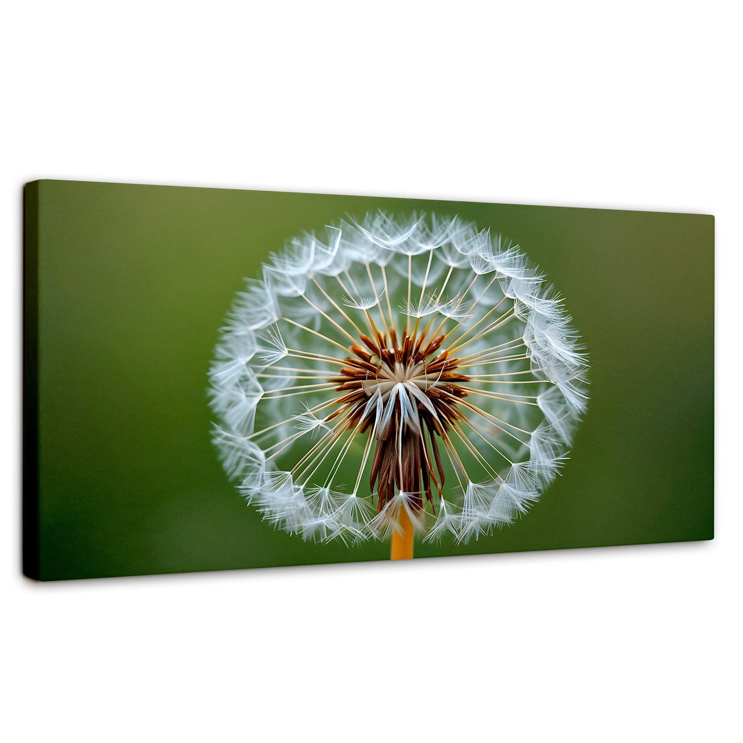 Cuadros Decorativos Canvas Revolution | Sueno En Vuelo | Panoramico | Portada | Marco SinMarco