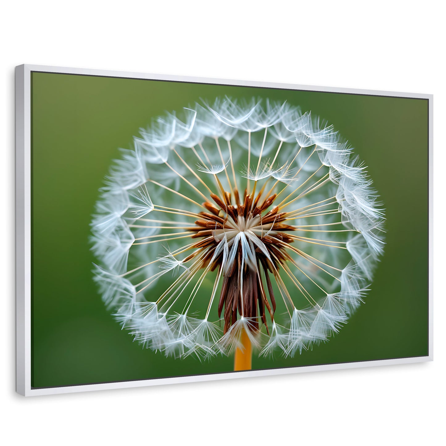 Cuadros Decorativos Canvas Revolution | Sueno En Vuelo | Rectangular | Portada | Marco Blanco