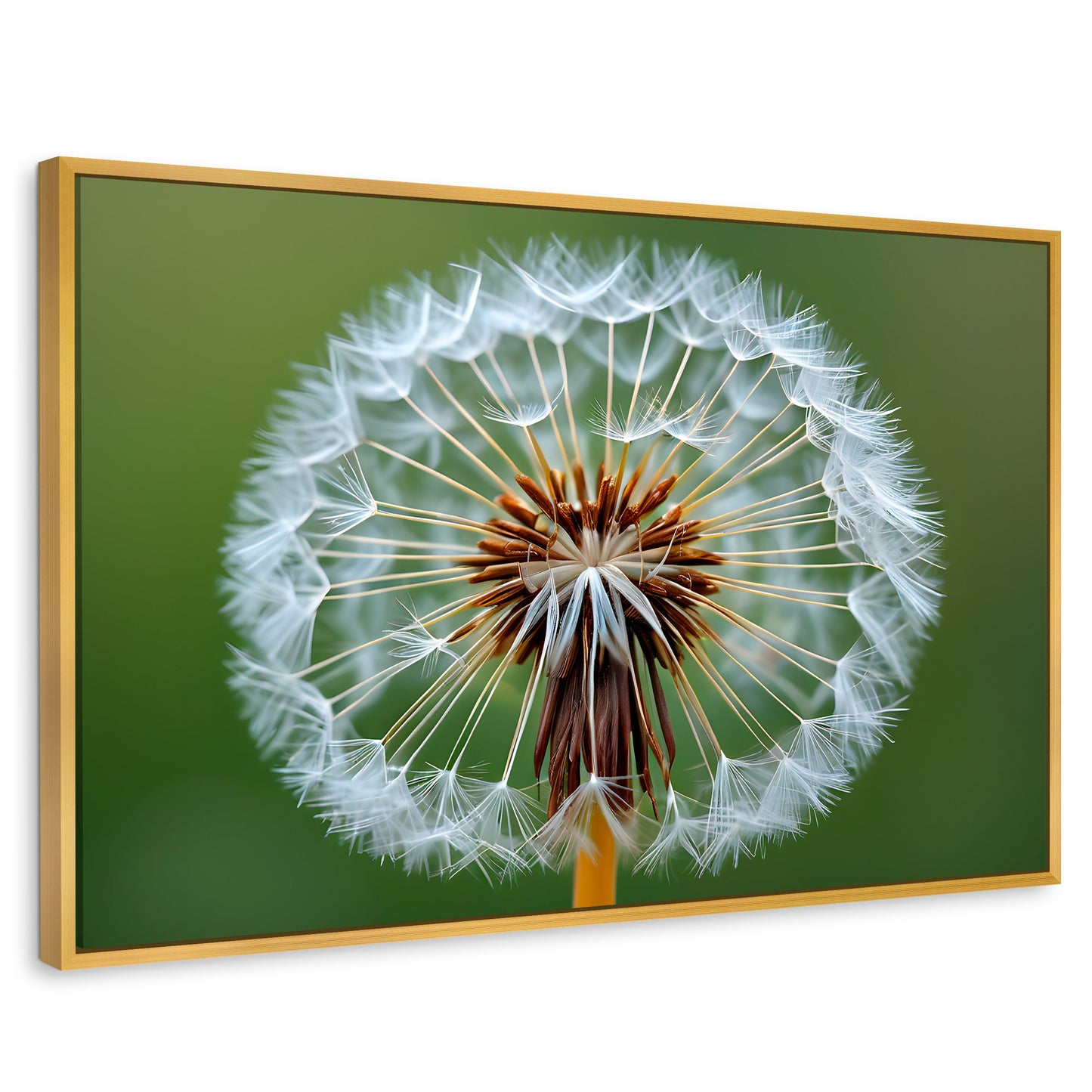 Cuadros Decorativos Canvas Revolution | Sueno En Vuelo | Rectangular | Portada | Marco Dorado