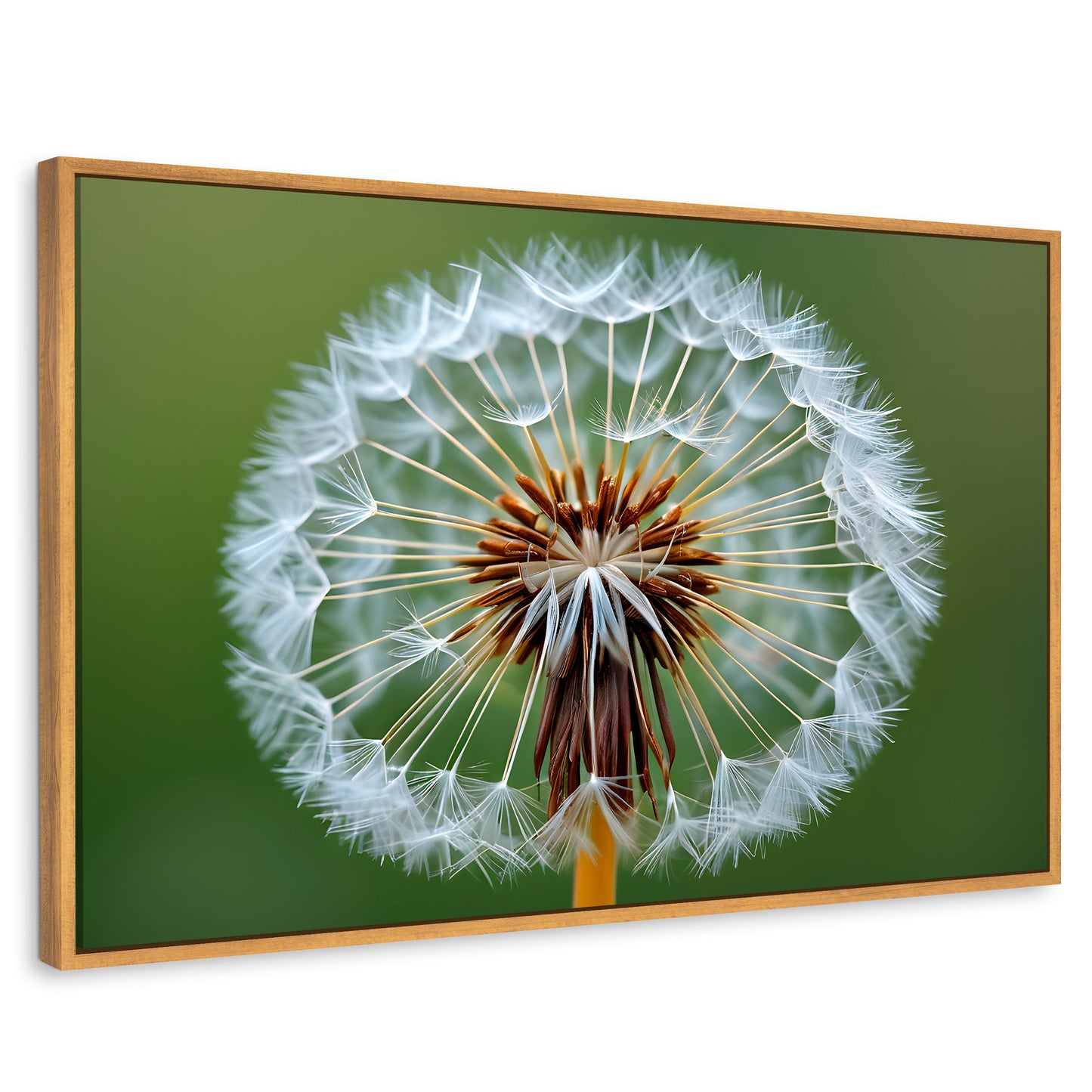 Cuadros Decorativos Canvas Revolution | Sueno En Vuelo | Rectangular | Portada | Marco Madera