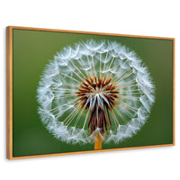 Cuadros Decorativos Canvas Revolution | Sueno En Vuelo | Rectangular | Portada | Marco Madera