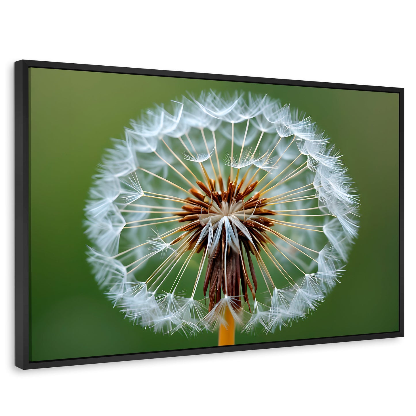 Cuadros Decorativos Canvas Revolution | Sueno En Vuelo | Rectangular | Portada | Marco Negro
