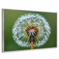 Cuadros Decorativos Canvas Revolution | Sueno En Vuelo | Rectangular | Portada | Marco Plateado