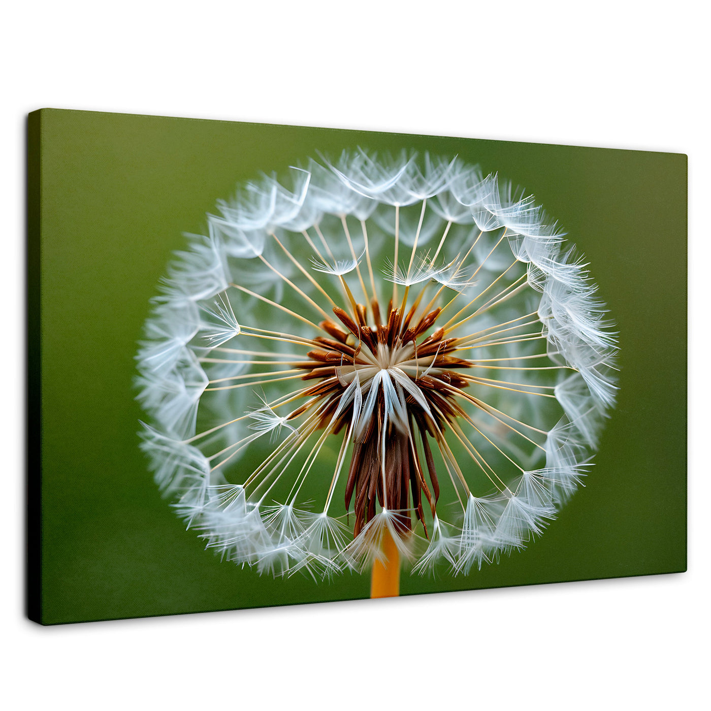 Cuadros Decorativos Canvas Revolution | Sueno En Vuelo | Rectangular | Portada | Marco SinMarco