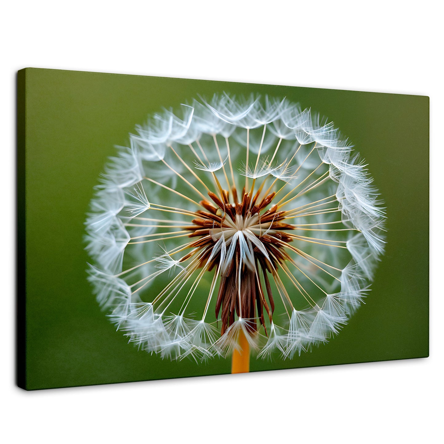 Cuadros Decorativos Canvas Revolution | Sueno En Vuelo | Rectangular | Portada | Marco SinMarco