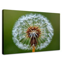 Cuadros Decorativos Canvas Revolution | Sueno En Vuelo | Rectangular | Portada | Marco SinMarco