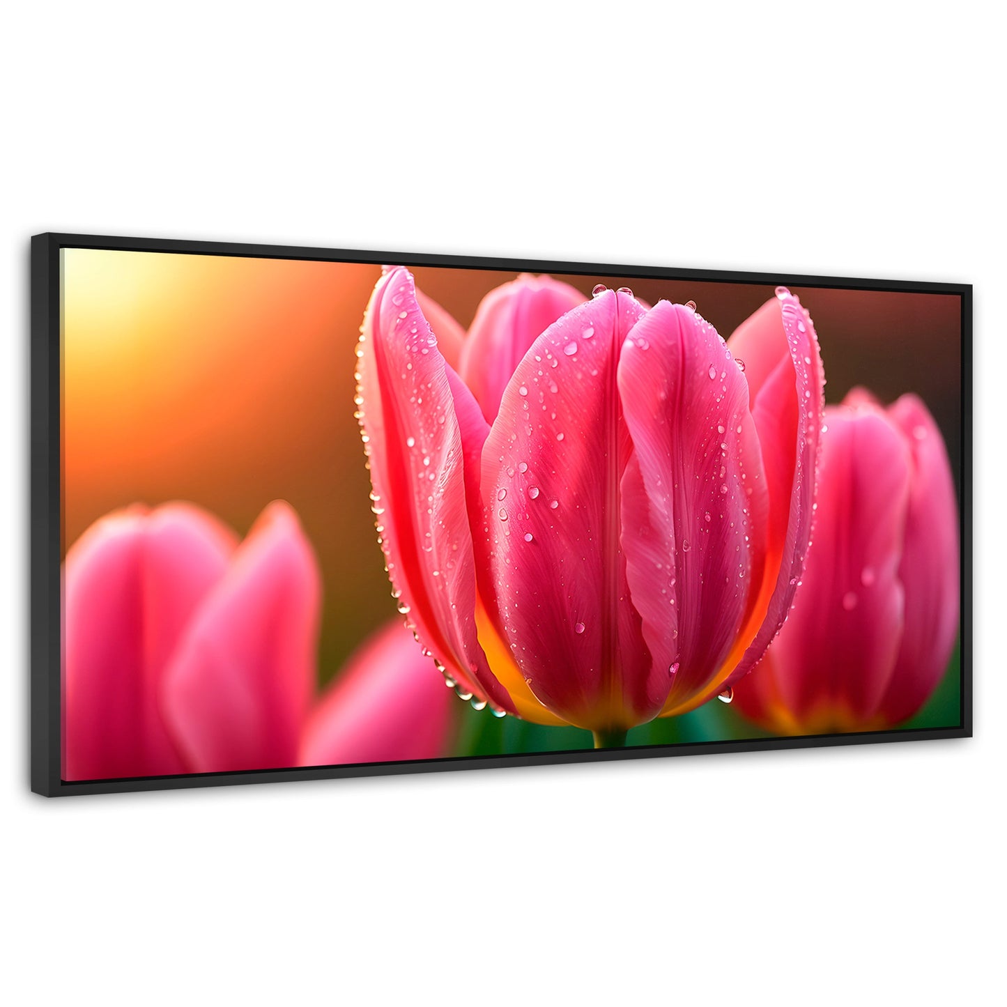 Cuadros Decorativos Canvas Revolution | Tulipan Rosa Eterno | Panoramico | Portada | Marco Negro