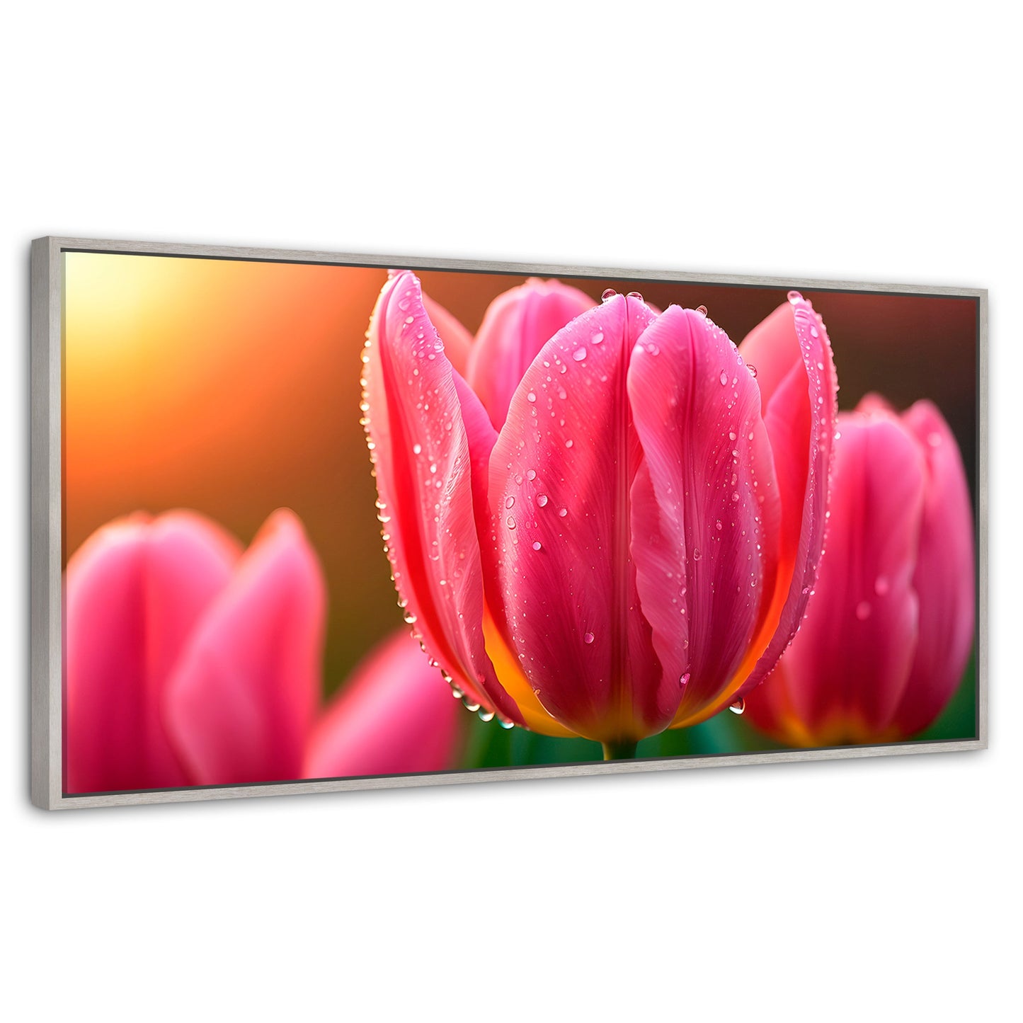 Cuadros Decorativos Canvas Revolution | Tulipan Rosa Eterno | Panoramico | Portada | Marco Plateado