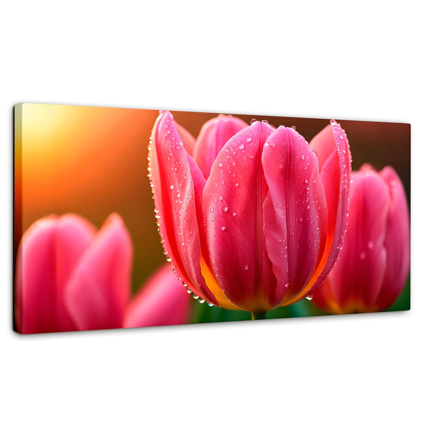 Cuadros Decorativos Canvas Revolution | Tulipan Rosa Eterno | Panoramico | Portada | Marco SinMarco