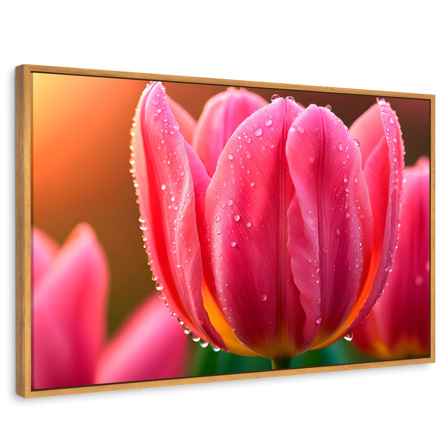 Cuadros Decorativos Canvas Revolution | Tulipan Rosa Eterno | Rectangular | Portada | Marco Madera