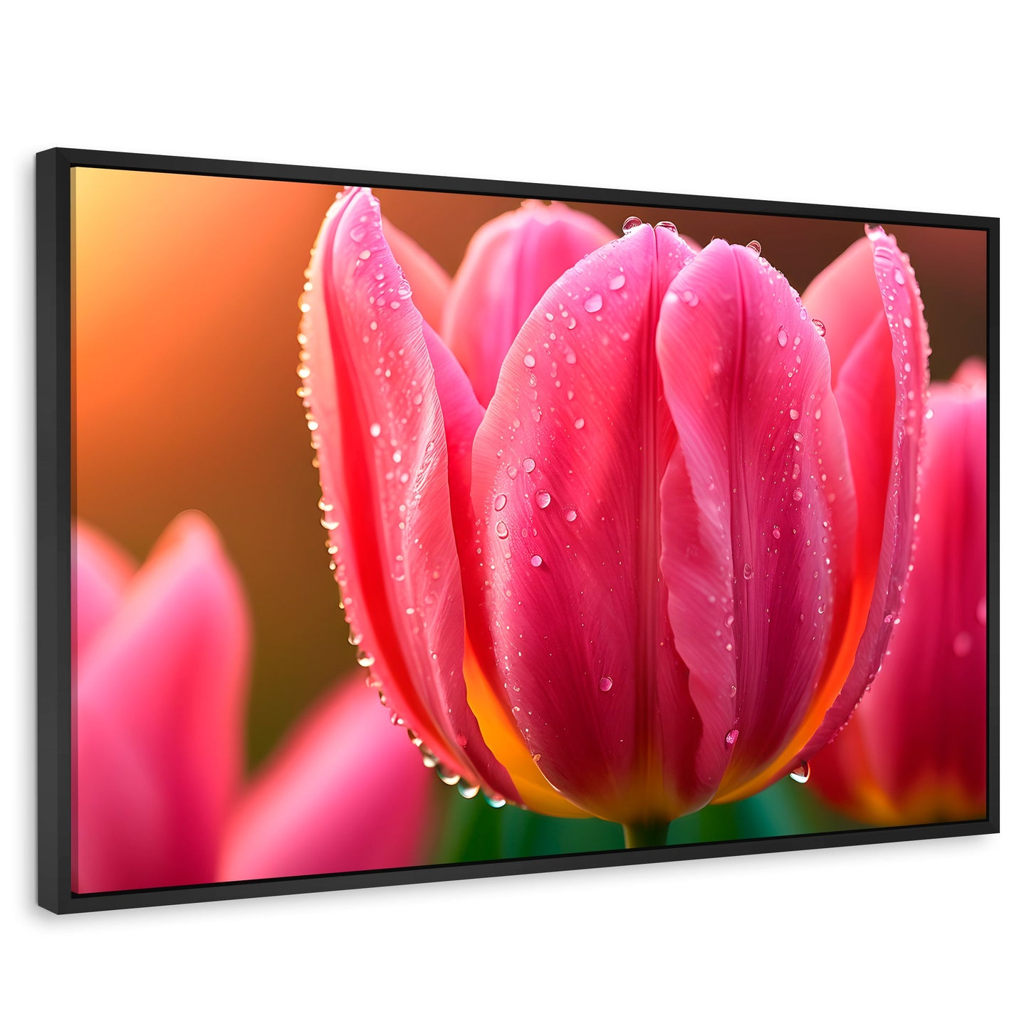 Cuadros Decorativos Canvas Revolution | Tulipan Rosa Eterno | Rectangular | Portada | Marco Negro