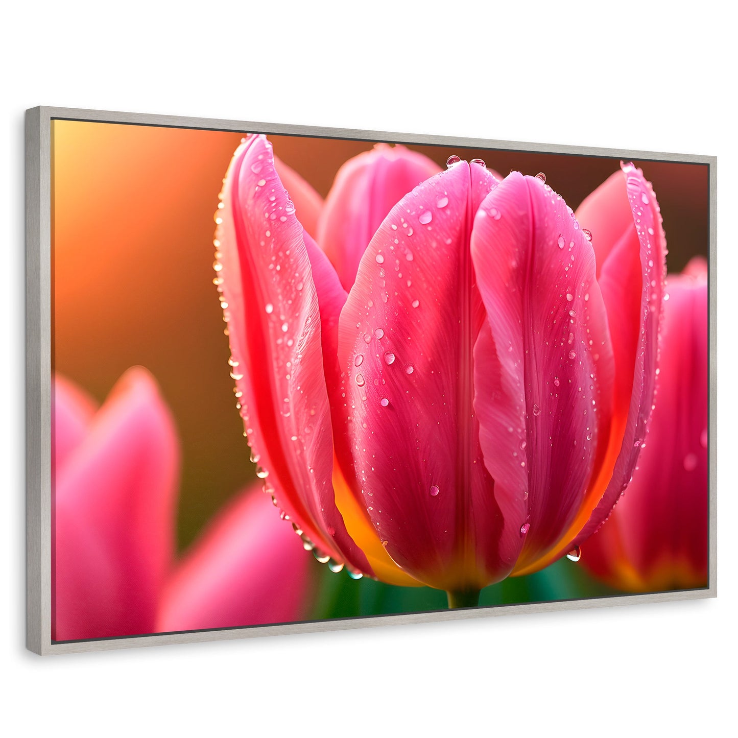 Cuadros Decorativos Canvas Revolution | Tulipan Rosa Eterno | Rectangular | Portada | Marco Plateado