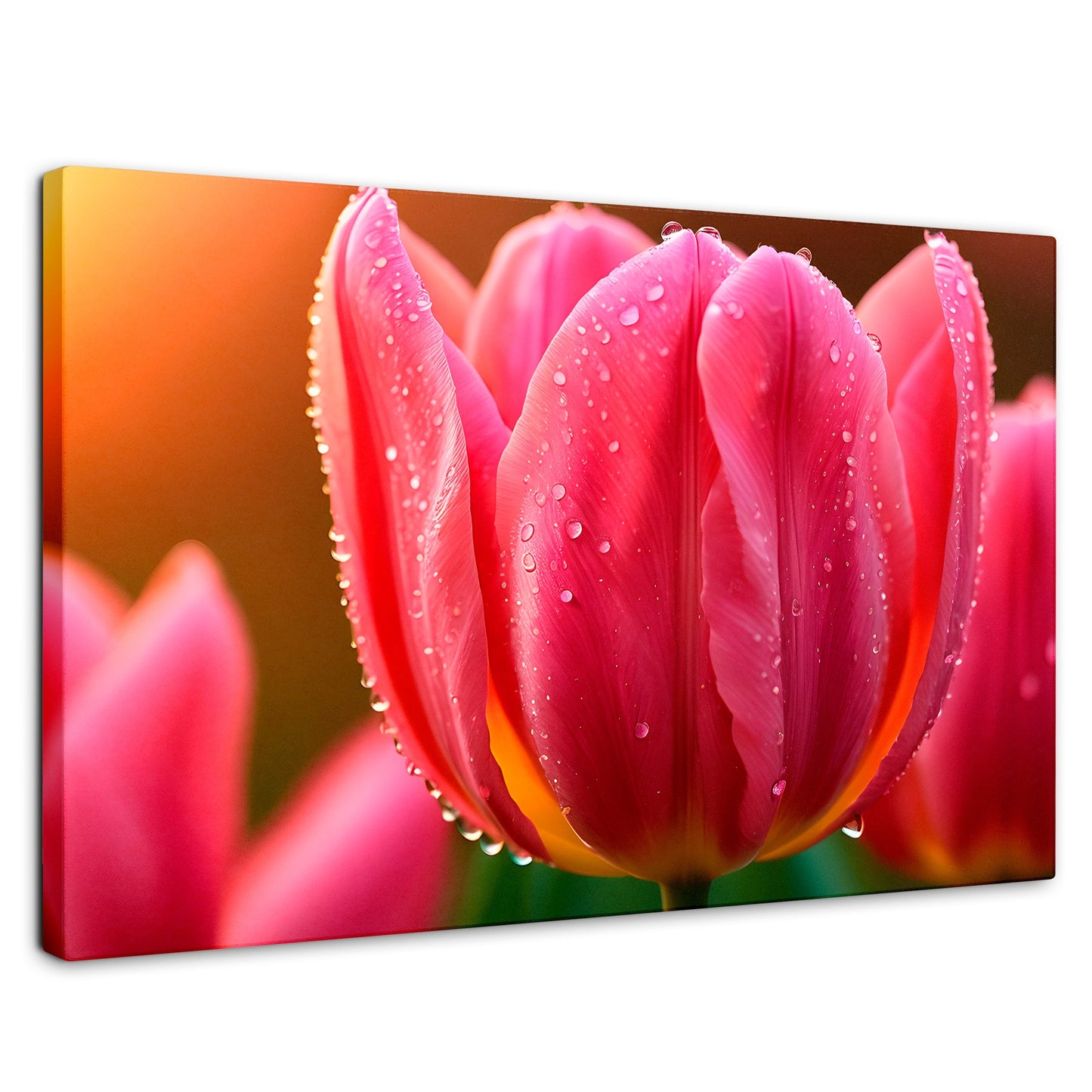 Cuadros Decorativos Canvas Revolution | Tulipan Rosa Eterno | Rectangular | Portada | Marco SinMarco