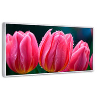 Cuadros Decorativos Canvas Revolution | Tulipanes Rosa Vivo | Panoramico | Portada | Marco Blanco
