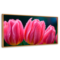 Cuadros Decorativos Canvas Revolution | Tulipanes Rosa Vivo | Panoramico | Portada | Marco Madera