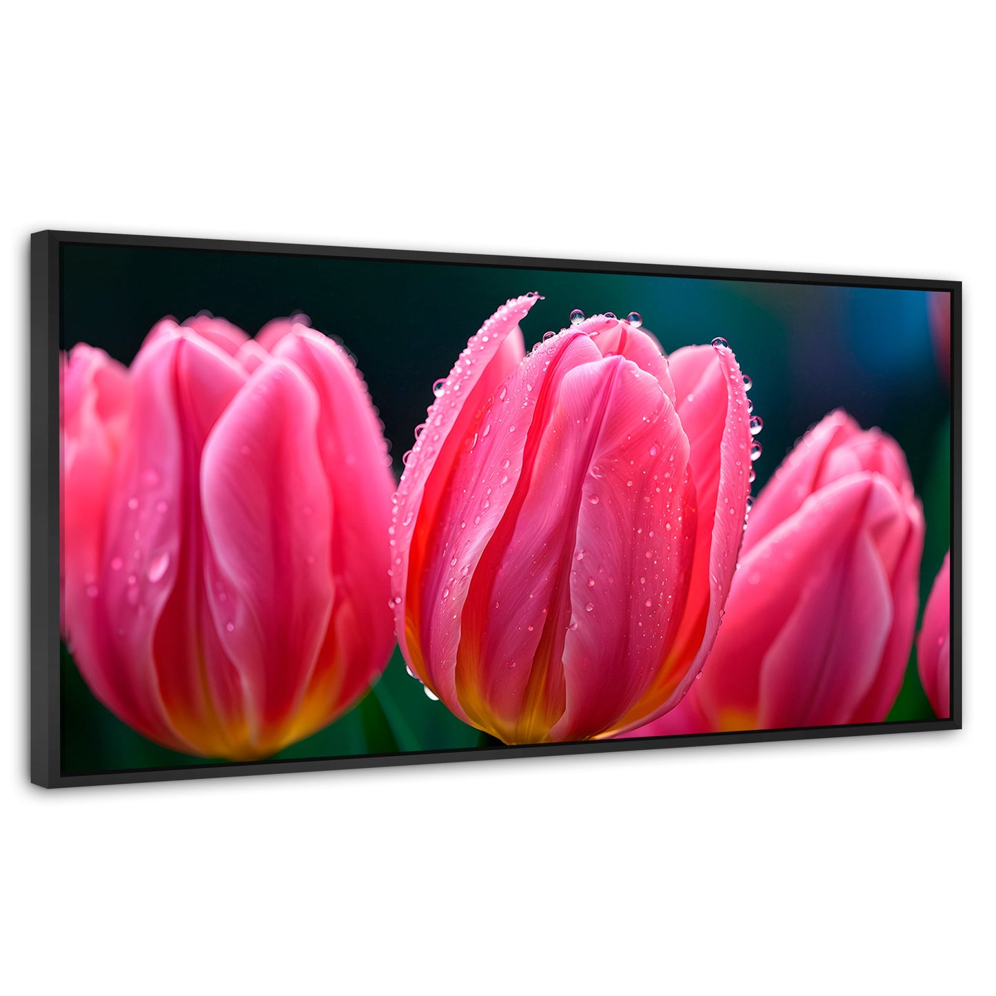 Cuadros Decorativos Canvas Revolution | Tulipanes Rosa Vivo | Panoramico | Portada | Marco Negro