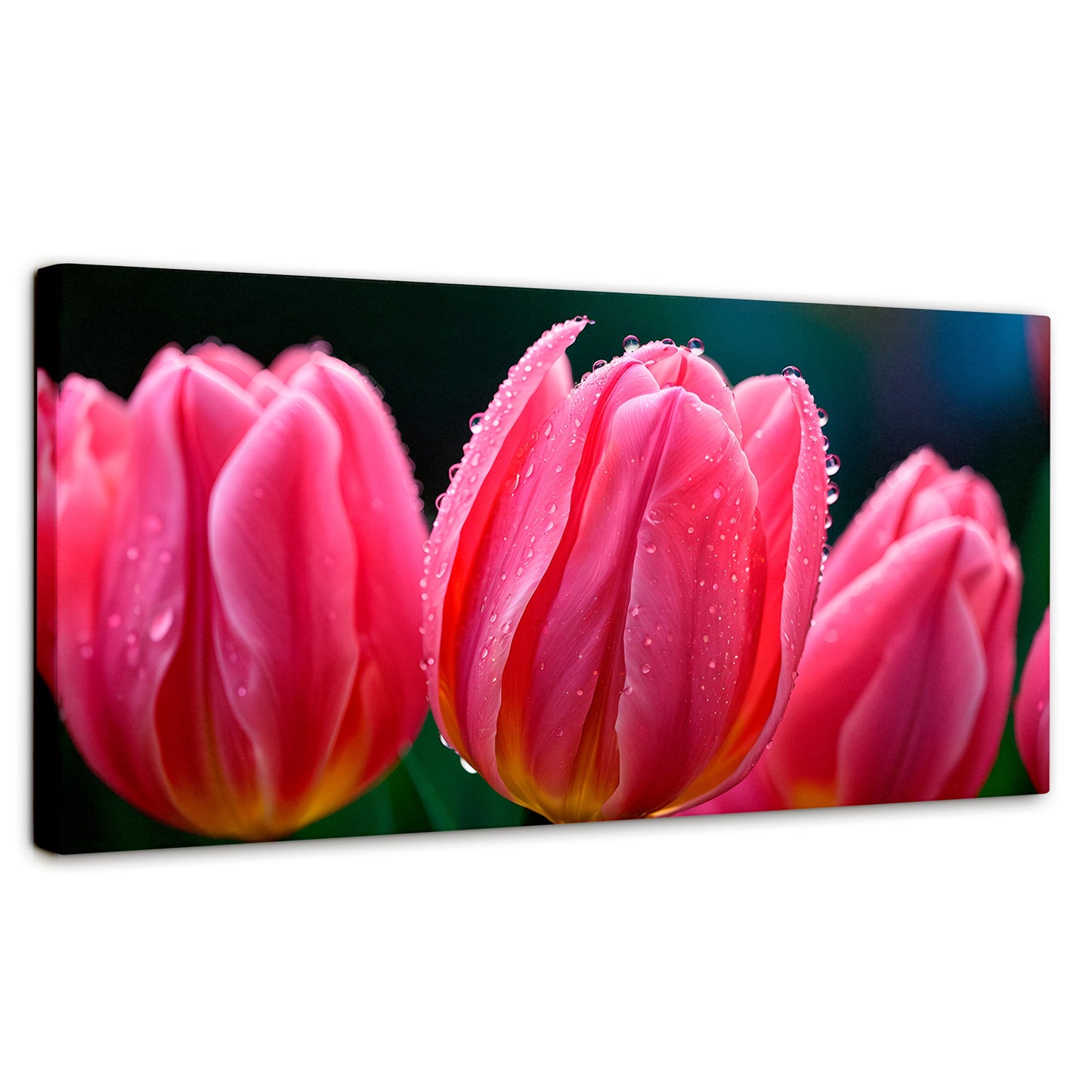 Cuadros Decorativos Canvas Revolution | Tulipanes Rosa Vivo | Panoramico | Portada | Marco SinMarco