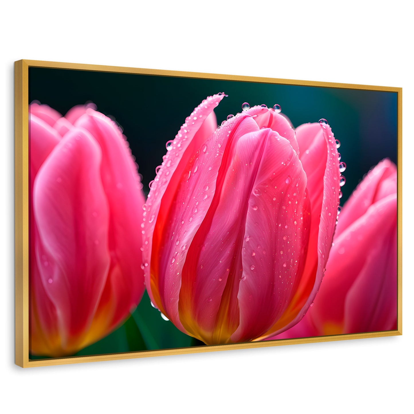 Cuadros Decorativos Canvas Revolution | Tulipanes Rosa Vivo | Rectangular | Portada | Marco Dorado