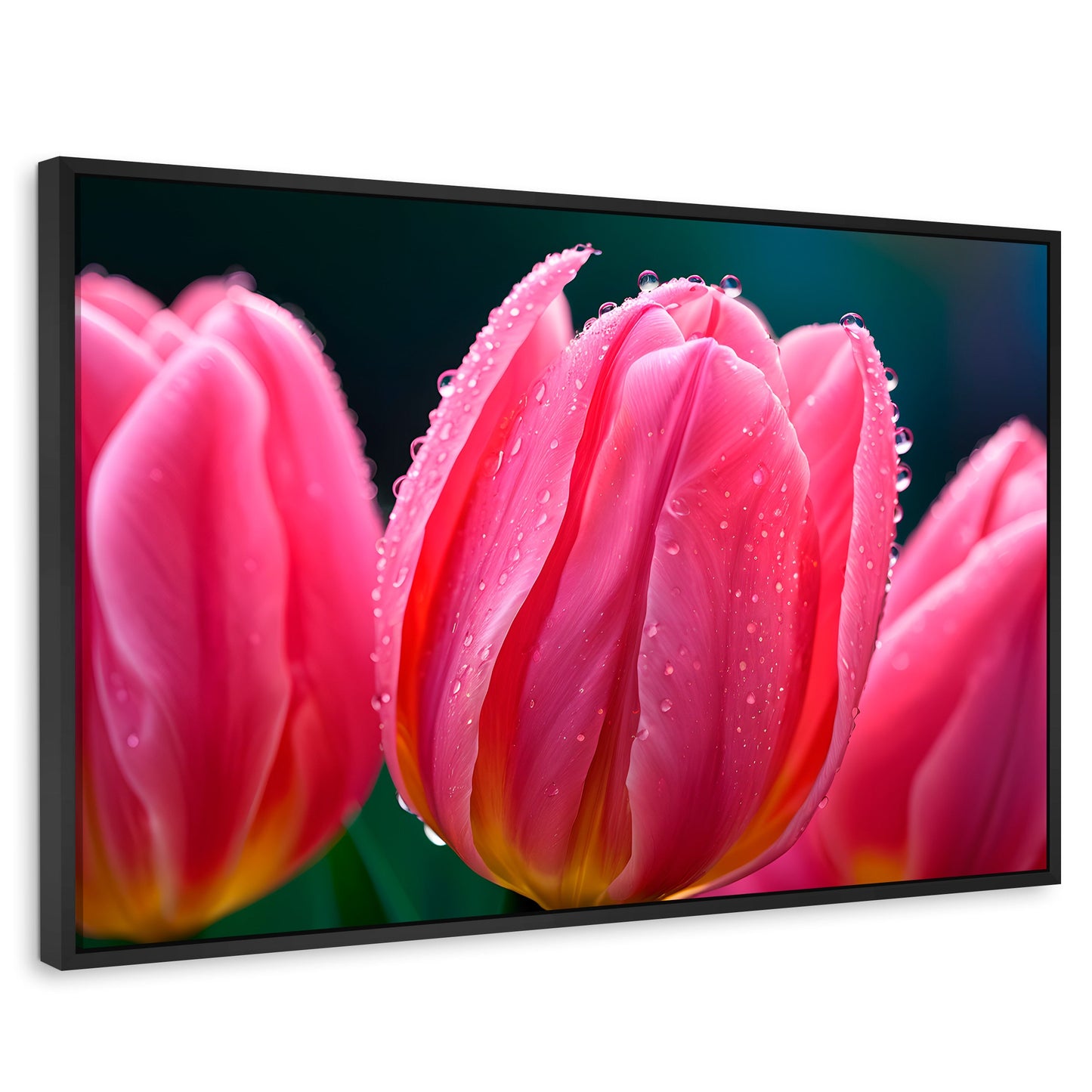 Cuadros Decorativos Canvas Revolution | Tulipanes Rosa Vivo | Rectangular | Portada | Marco Negro