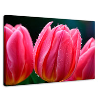 Cuadros Decorativos Canvas Revolution | Tulipanes Rosa Vivo | Rectangular | Portada | Marco SinMarco