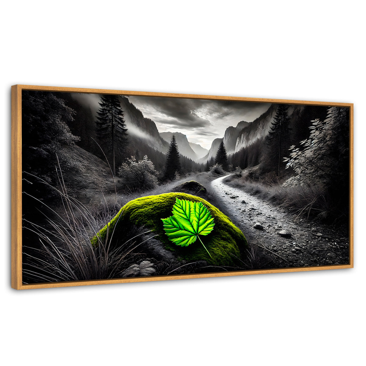 Cuadros Decorativos Canvas Revolution | Verde Silencio | Panoramico | Portada | Marco Negro