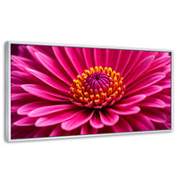 Cuadros Decorativos Canvas Revolution | Zinnia Magia Rosa | Panoramico | Portada | Marco Blanco