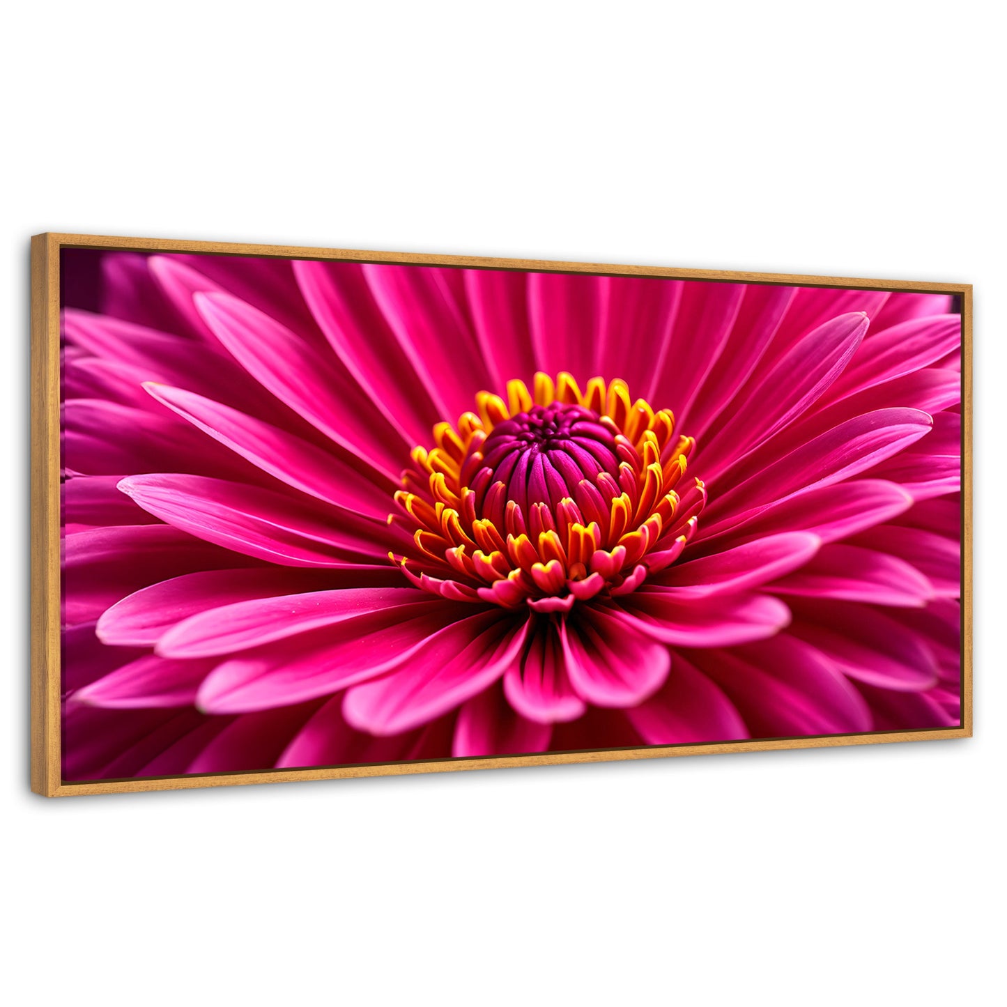 Cuadros Decorativos Canvas Revolution | Zinnia Magia Rosa | Panoramico | Portada | Marco Madera