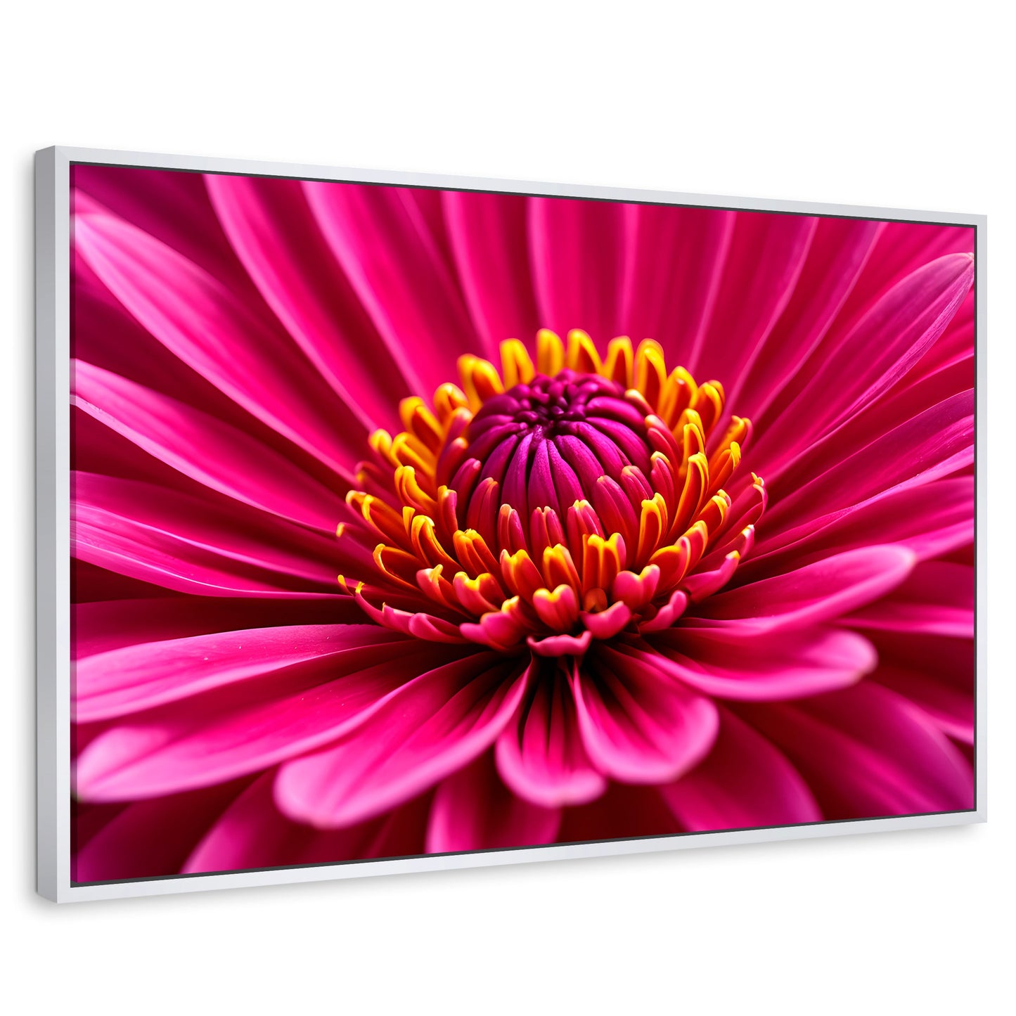 Cuadros Decorativos Canvas Revolution | Zinnia Magia Rosa | Rectangular | Portada | Marco Blanco