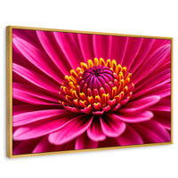 Cuadros Decorativos Canvas Revolution | Zinnia Magia Rosa | Rectangular | Portada | Marco Dorado