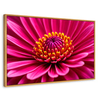 Cuadros Decorativos Canvas Revolution | Zinnia Magia Rosa | Rectangular | Portada | Marco Madera