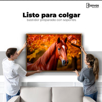 Cuadro Decorativo Luz Caballo Otoñal - Colgar