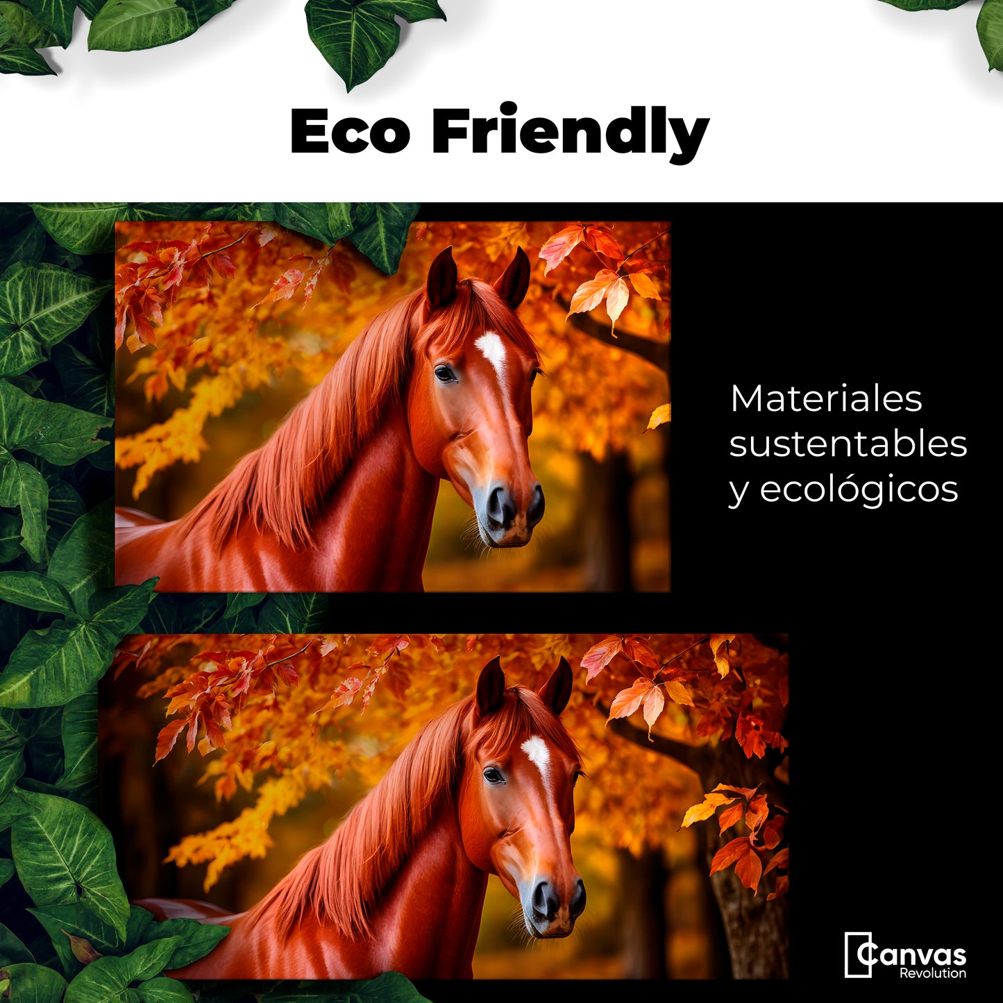 Cuadro Decorativo Luz Caballo Otoñal - Eco Friendly