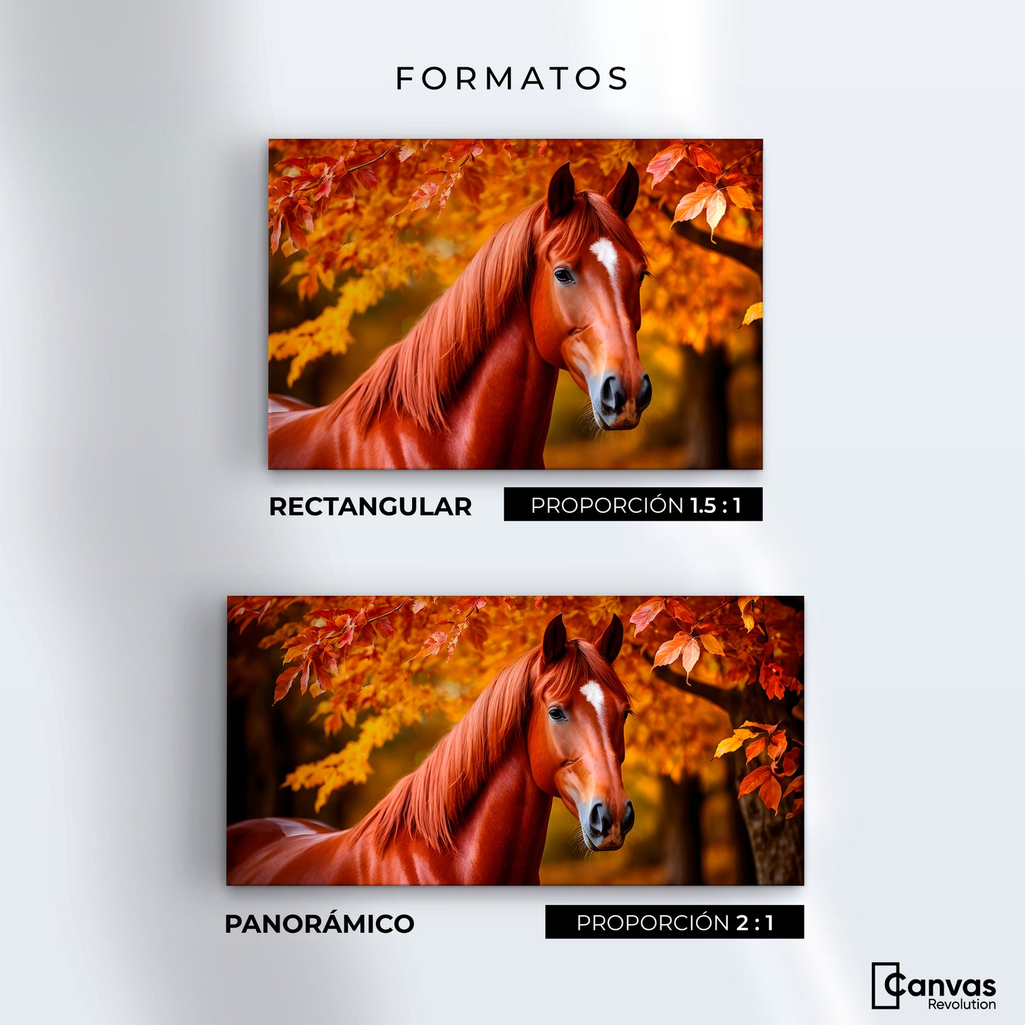 Cuadro Decorativo Luz Caballo Otoñal - Formatos