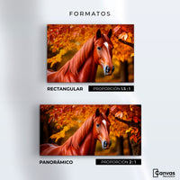 Cuadro Decorativo Luz Caballo Otoñal - Formatos