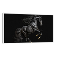Caballo Negro