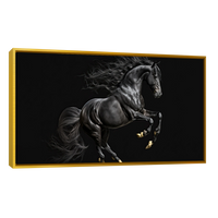 Caballo Negro