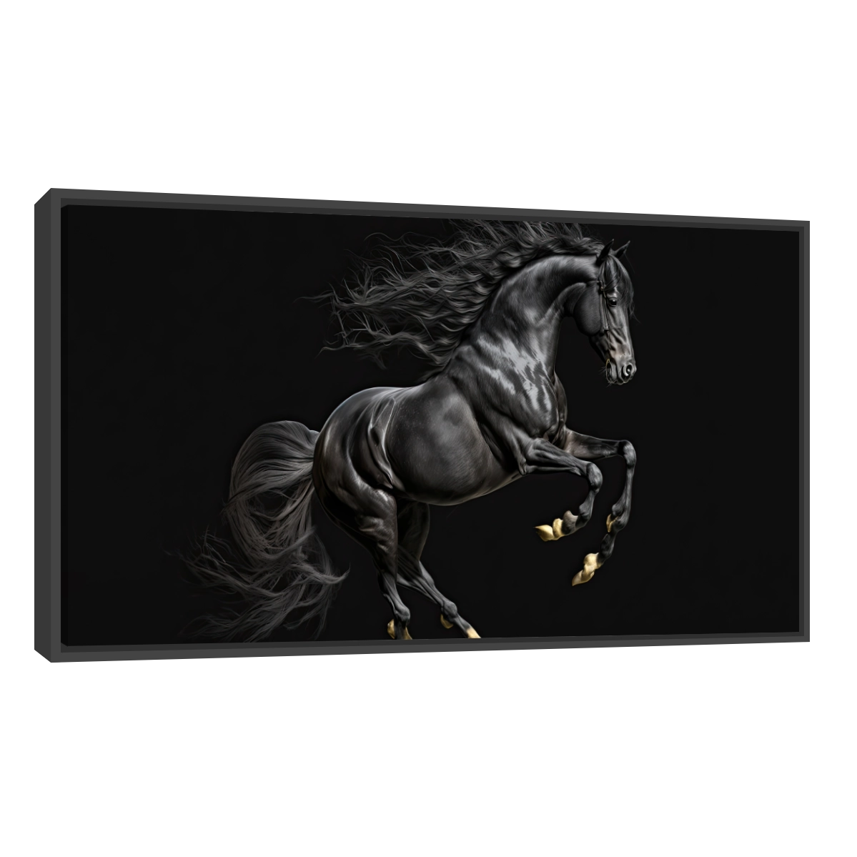 Caballo Negro