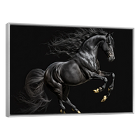 Caballo Negro