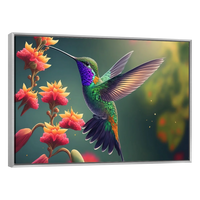 Colibrí Tropical