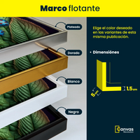 Mariquitas de Colores