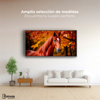 Cuadro Decorativo Luz Caballo Otoñal - Montaje 3