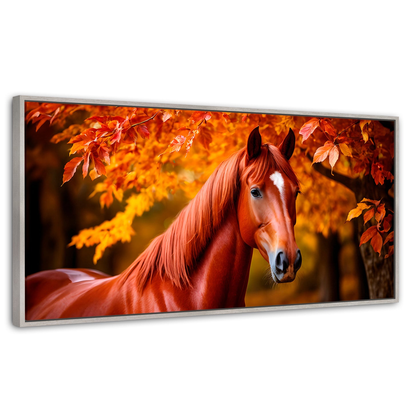 Cuadros Decorativos Canvas Revolution | Cuadro Decorativo Luz Caballo Otoñal | Panorámico | Marco Plateado