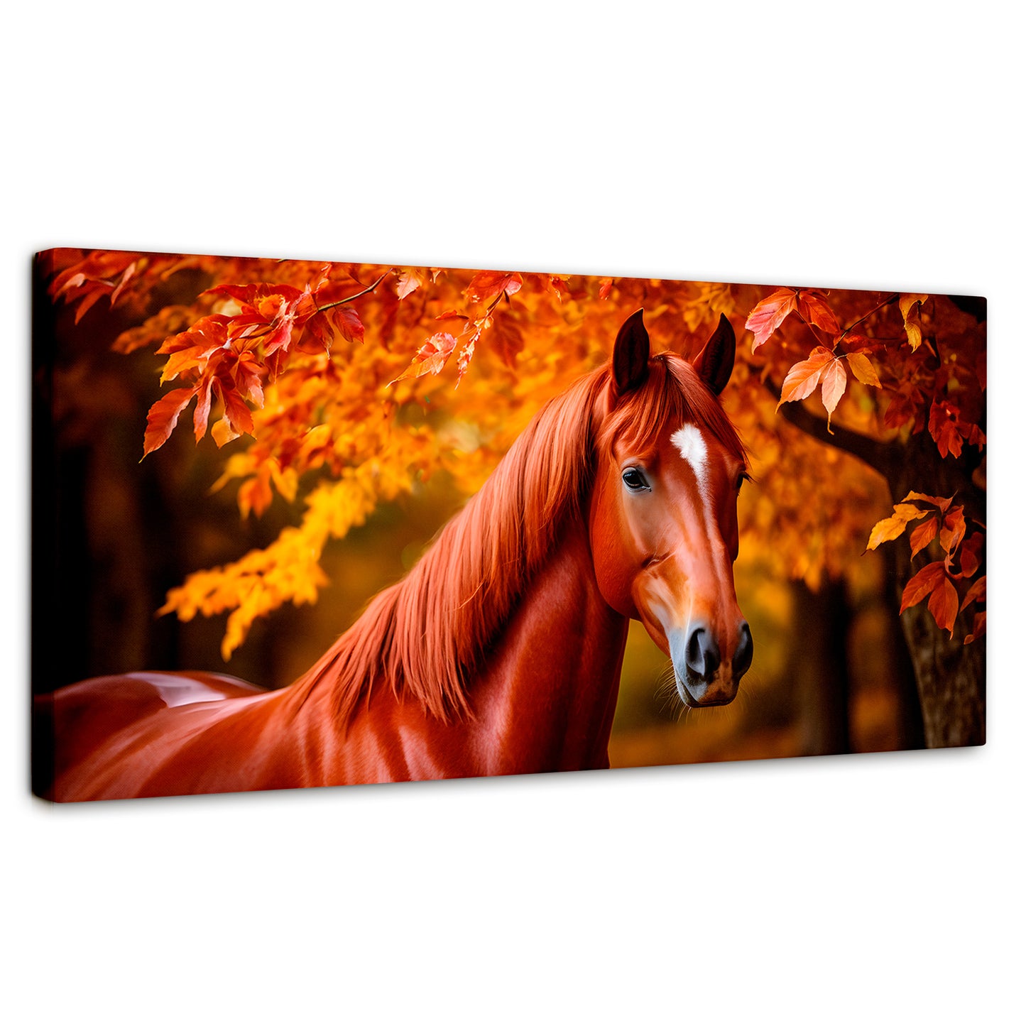Cuadros Decorativos Canvas Revolution | Cuadro Decorativo Luz Caballo Otoñal | Panorámico | Marco Sin Marco