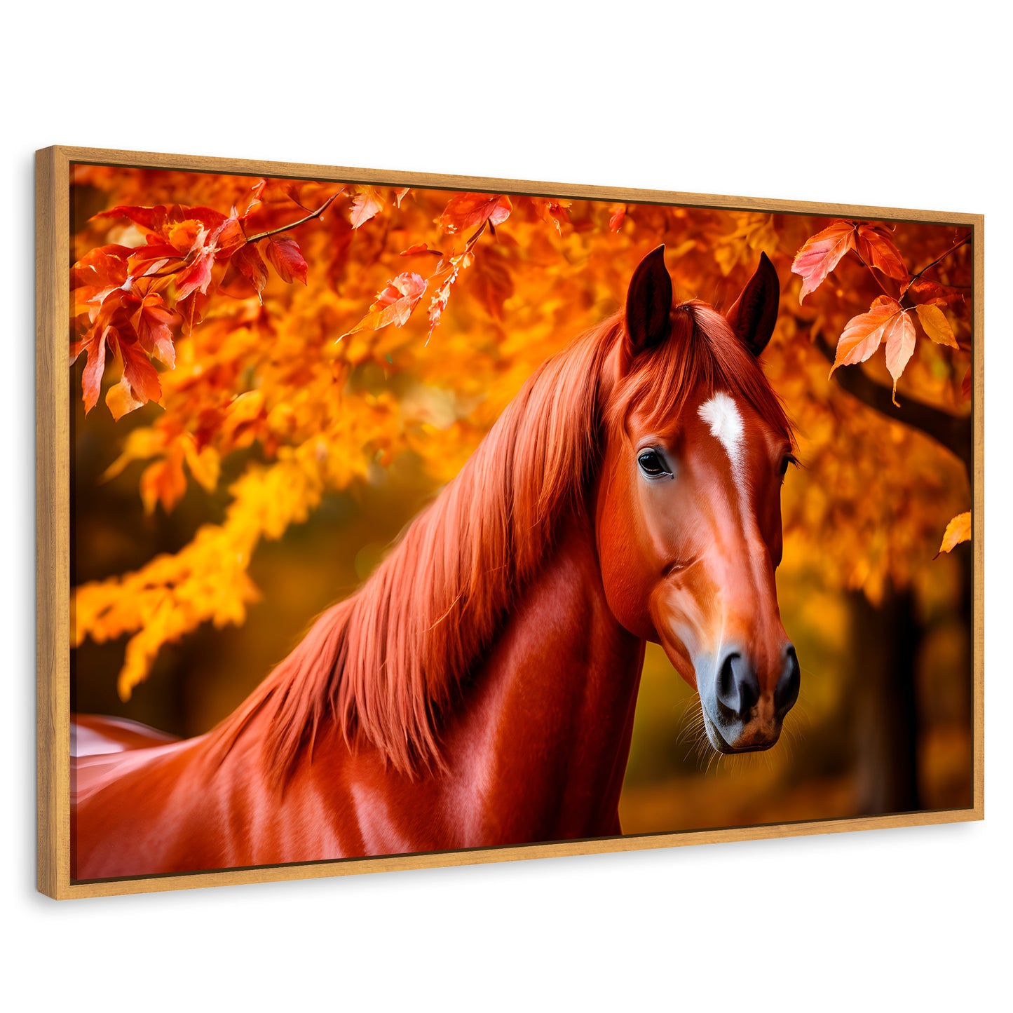 Cuadros Decorativos Canvas Revolution | Cuadro Decorativo Luz Caballo Otoñal | Rectangular | Marco Madera